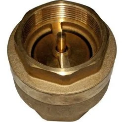 WOLF Rückschlagventil IG 2" PN10 Für LS, SLS, FWS, PG45, 2071483