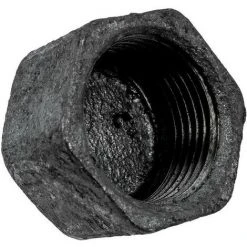 WOLF Verschlußkappe 1"IG Verzinkt Für CEW-2-200, PG016